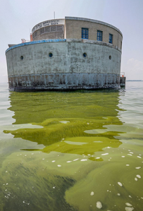 blue-green algae at the surface of Lake Erie near the water intake (background)