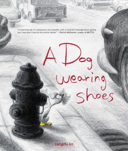 a  dog wearing shoes cpver